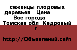саженцы плодовых деревьев › Цена ­ 6 080 - Все города  »    . Томская обл.,Кедровый г.